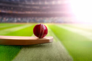 cricket art