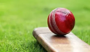 bat_ball